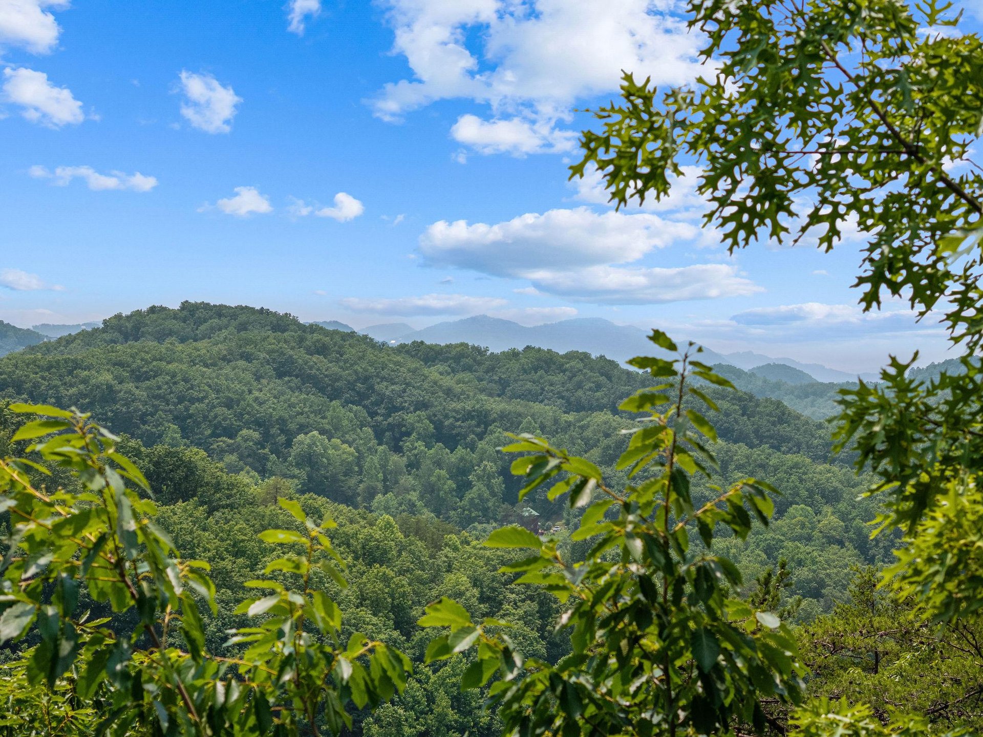 View from View and Me cabin