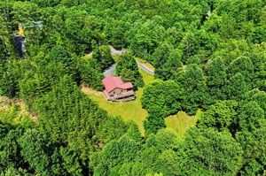 An aerial view captures a charming cabin with a red roof nestled in dense forest, offering complete privacy surrounded by lush green woodland and winding access roads.