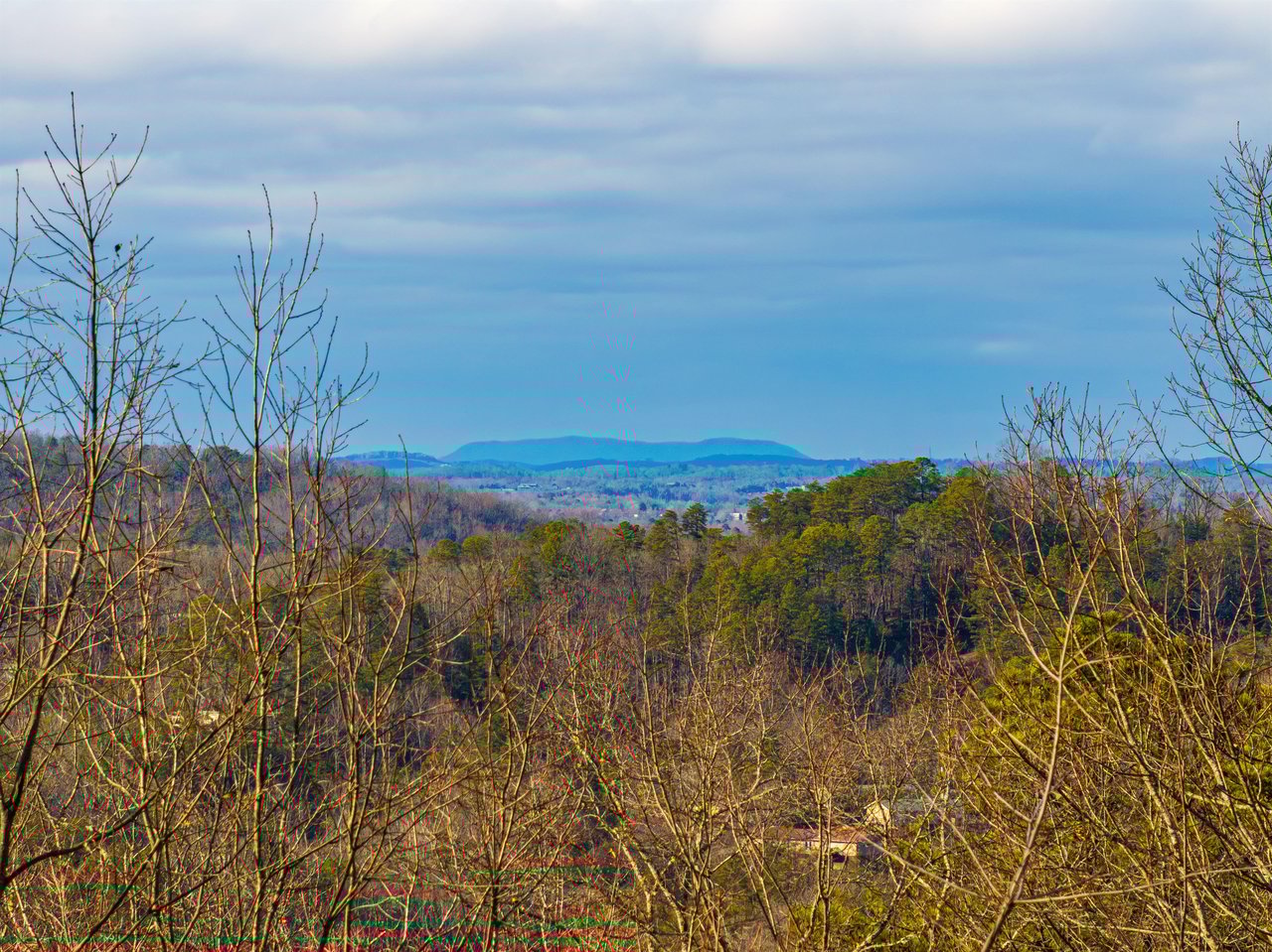 View from Papa Bear cabin