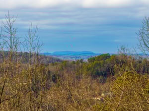 View from Papa Bear cabin