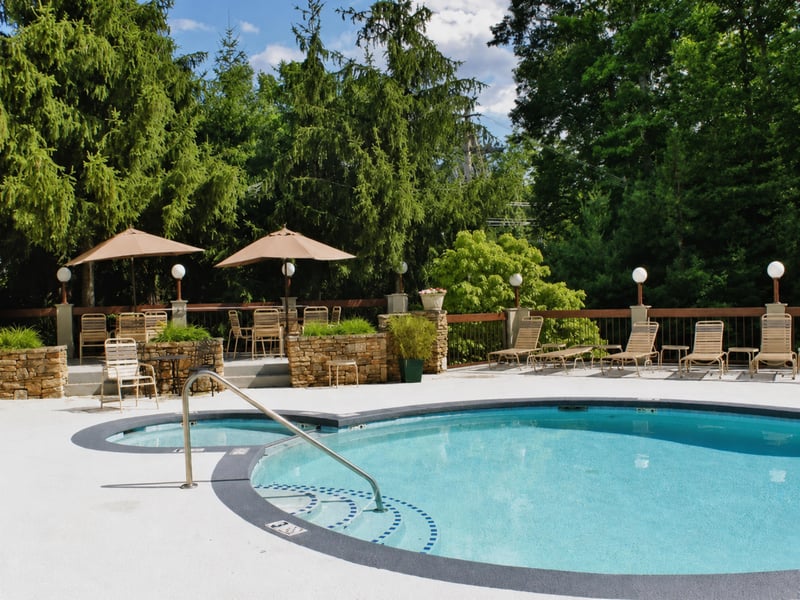 A refreshing outdoor pool area framed by mature trees, offering sunbeds and shaded seating alongside a relaxing hot tub in a peaceful, natural setting.