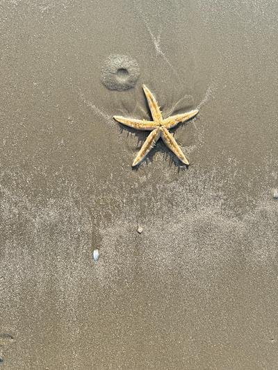 2f8ec674f92d4d1b91dd5c34053b7003small