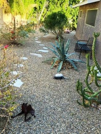 Private zen garden