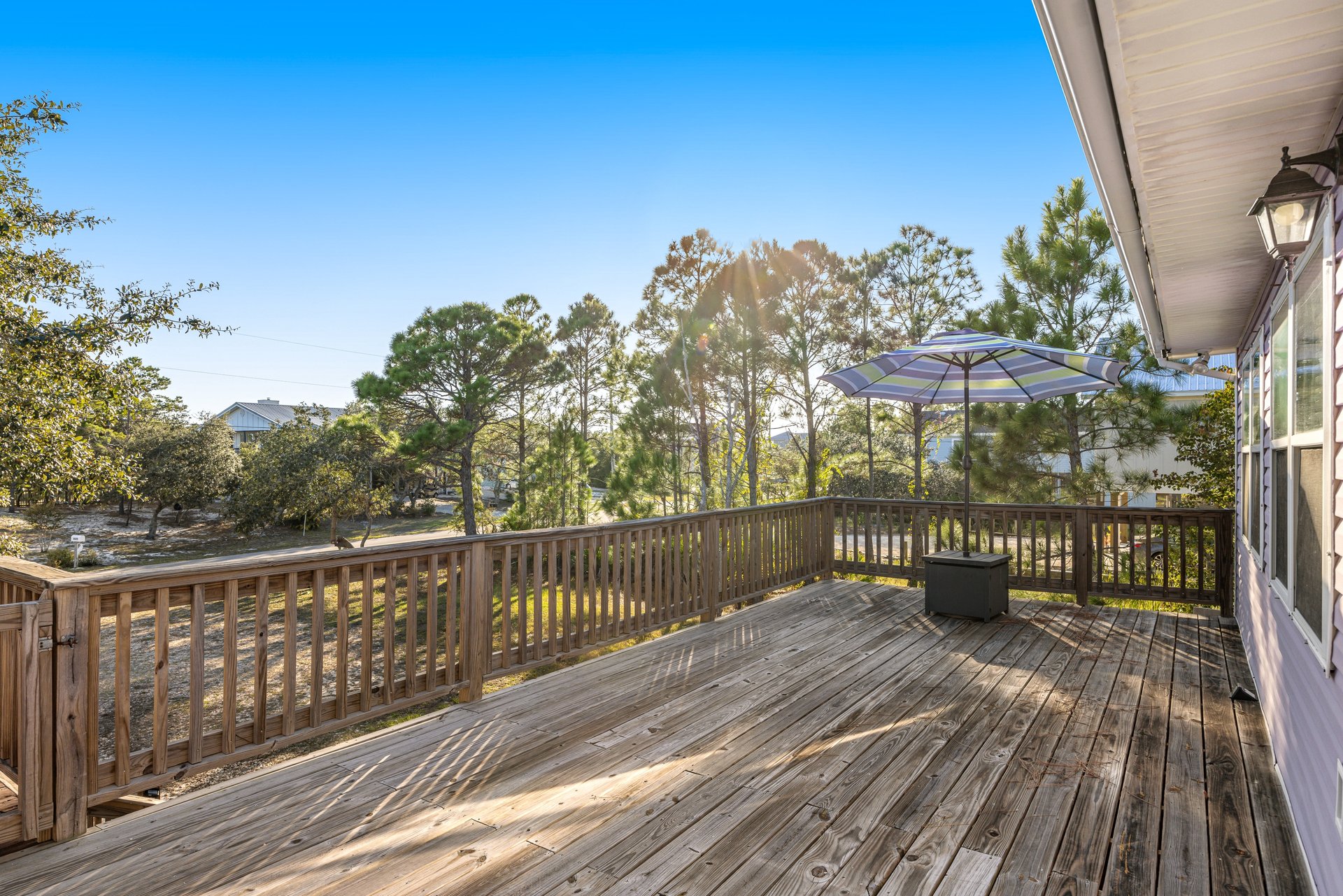 The Purple Palmetto 21