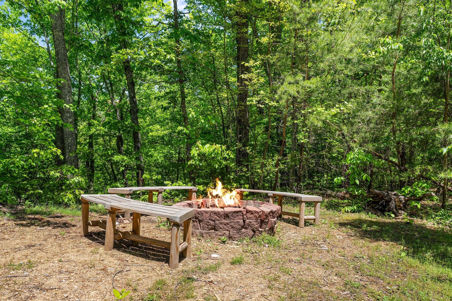 moonbeamandcabindreams10