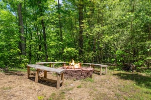 moonbeamandcabindreams10