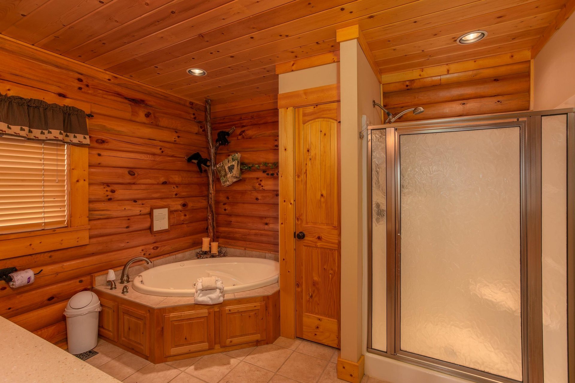 Jacuzzi with closet and walk in shower