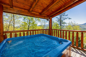 Hot Tub with Mountain View