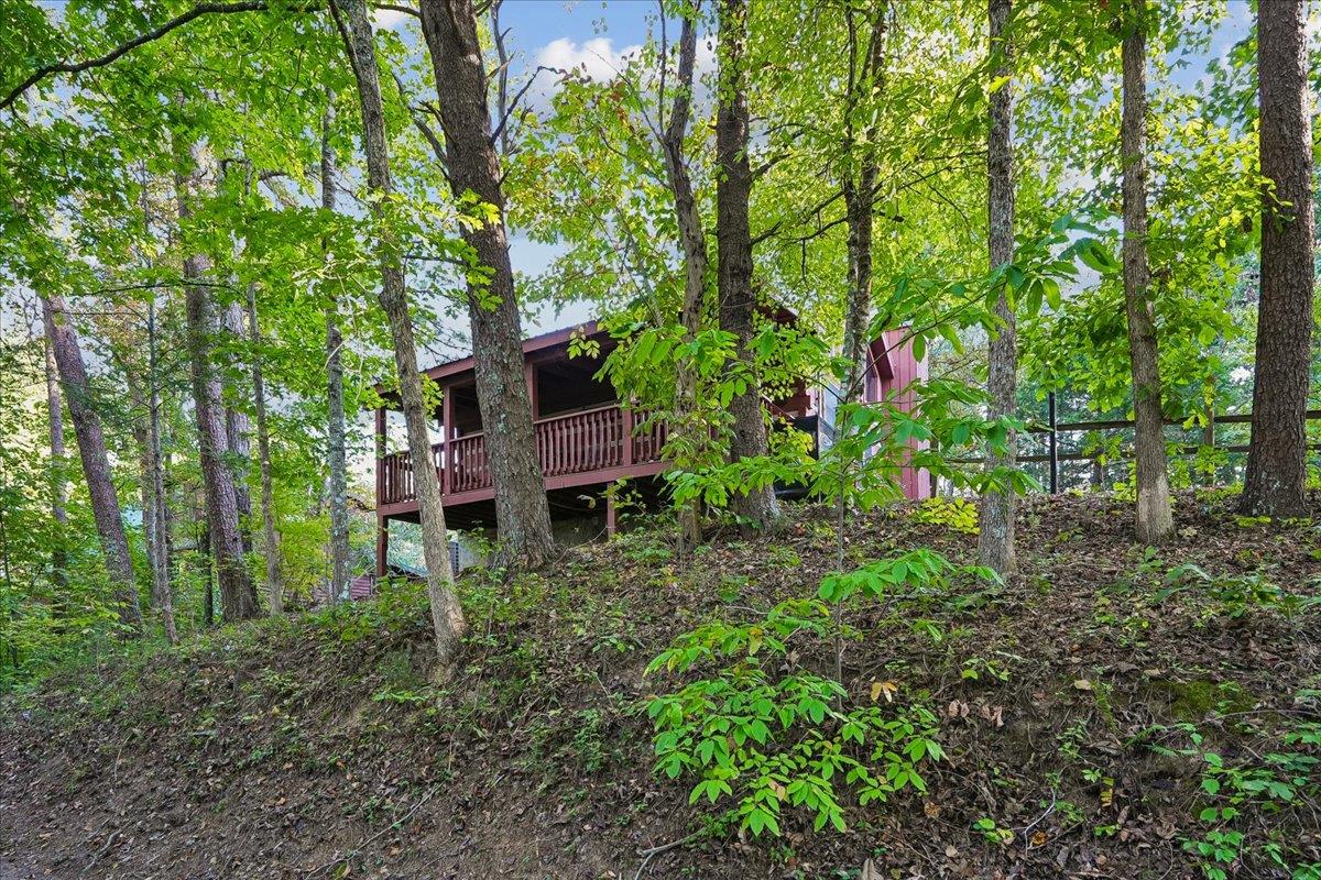 33Back Elevation