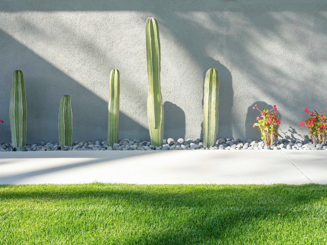 Lovely desert landscaping