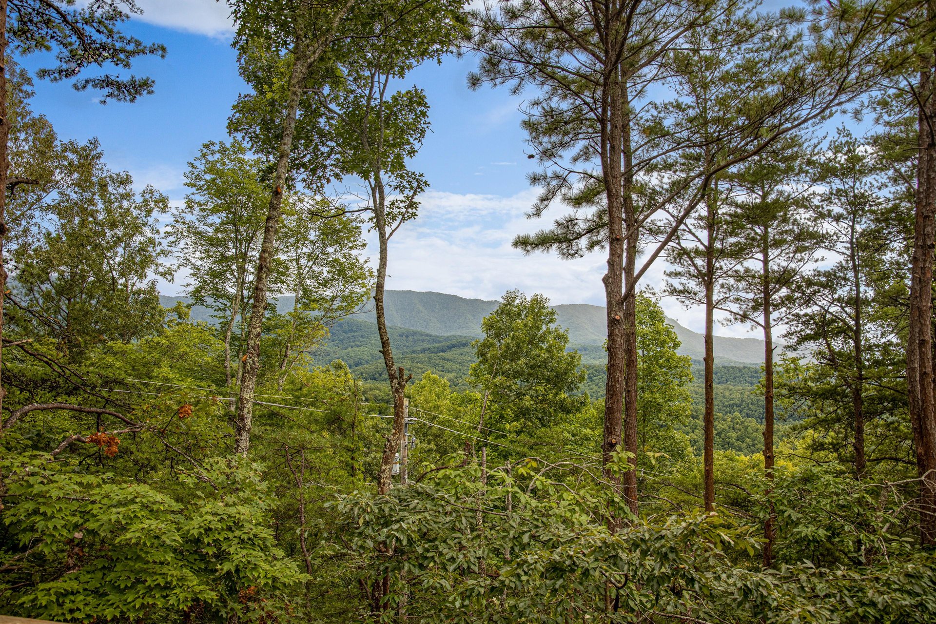 View through the trees at Cubs Crib, a 3 bedroom cabin rental located in Gatlinburg