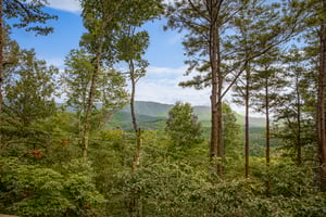 View through the trees at Cubs Crib, a 3 bedroom cabin rental located in Gatlinburg