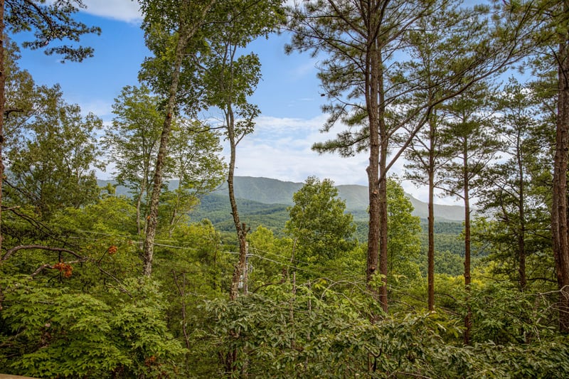 View through the trees at Cubs Crib, a 3 bedroom cabin rental located in Gatlinburg