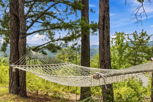 Swing gently in the hammock and breathe in the mountain air—your perfect spot to unwind awaits among the pines.