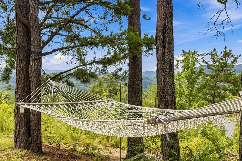 Swing gently in the hammock and breathe in the mountain air—your perfect spot to unwind awaits among the pines.