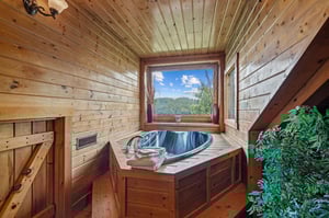 2 person tub with big window