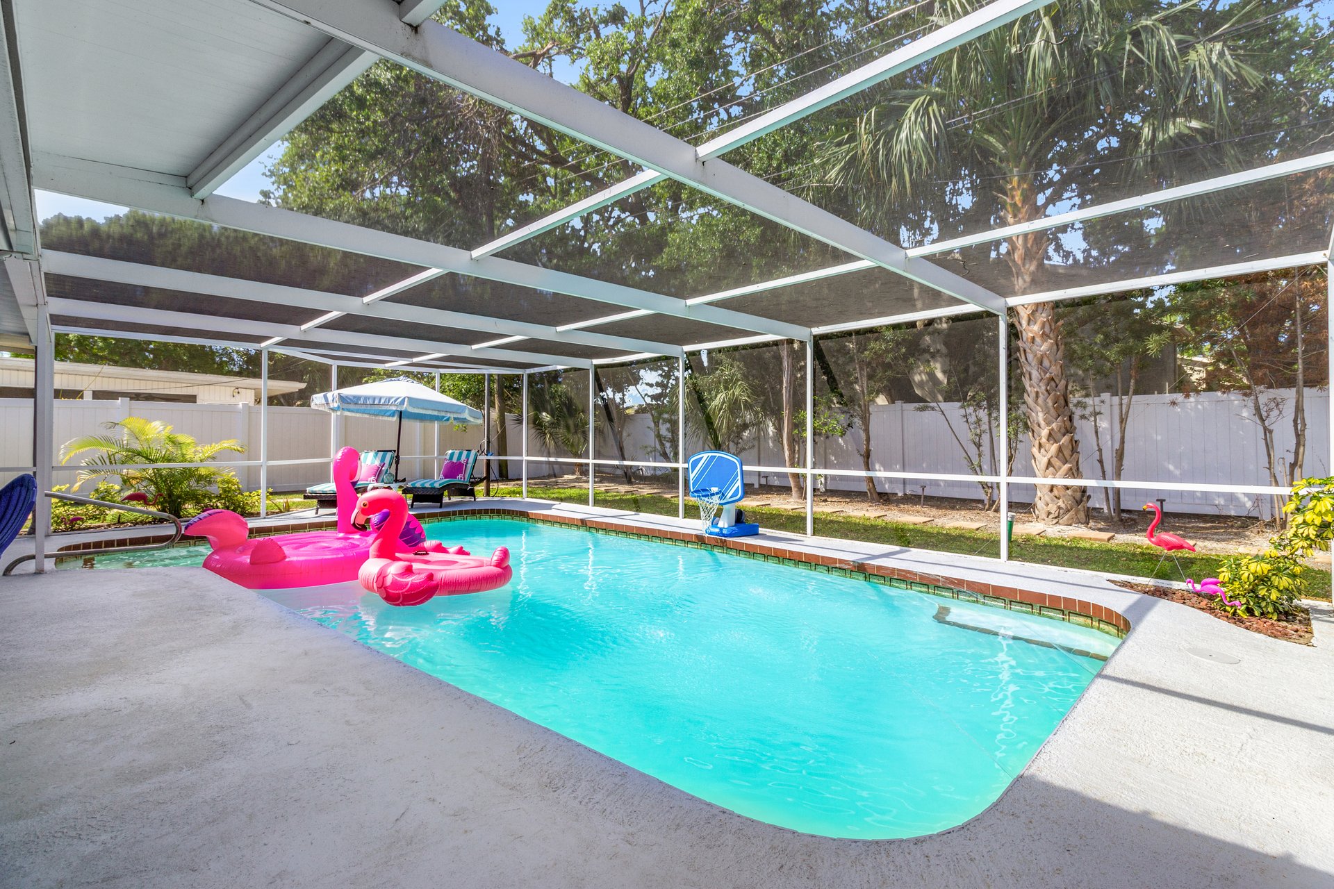 The Fancy Flamingo 31