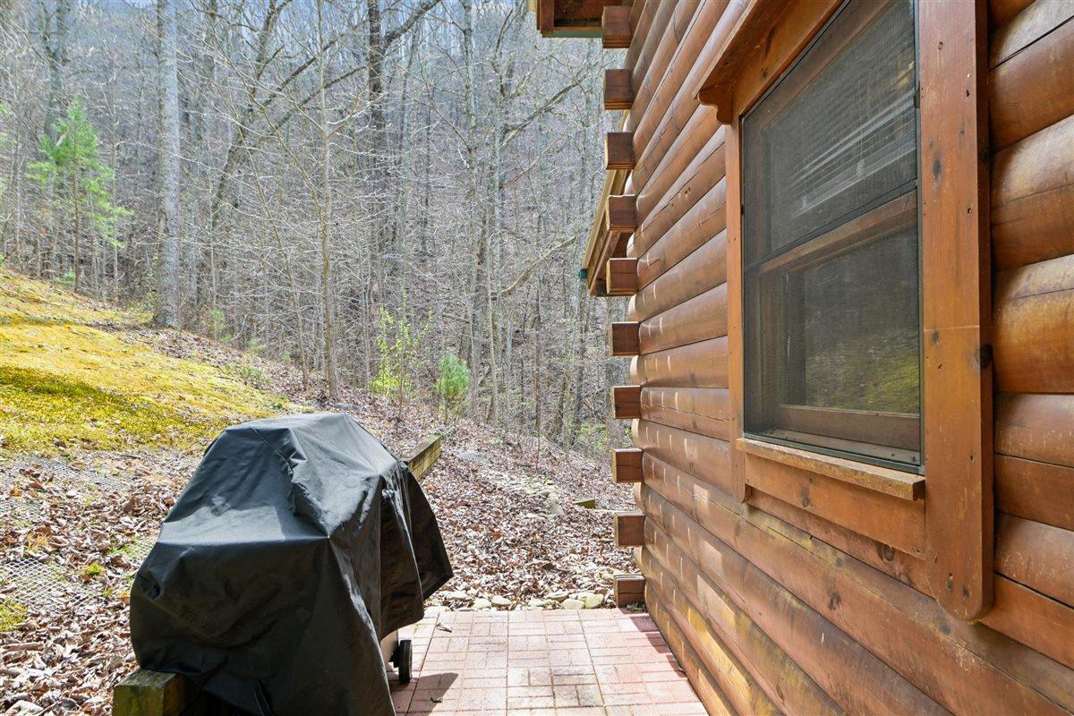 06Back Yard