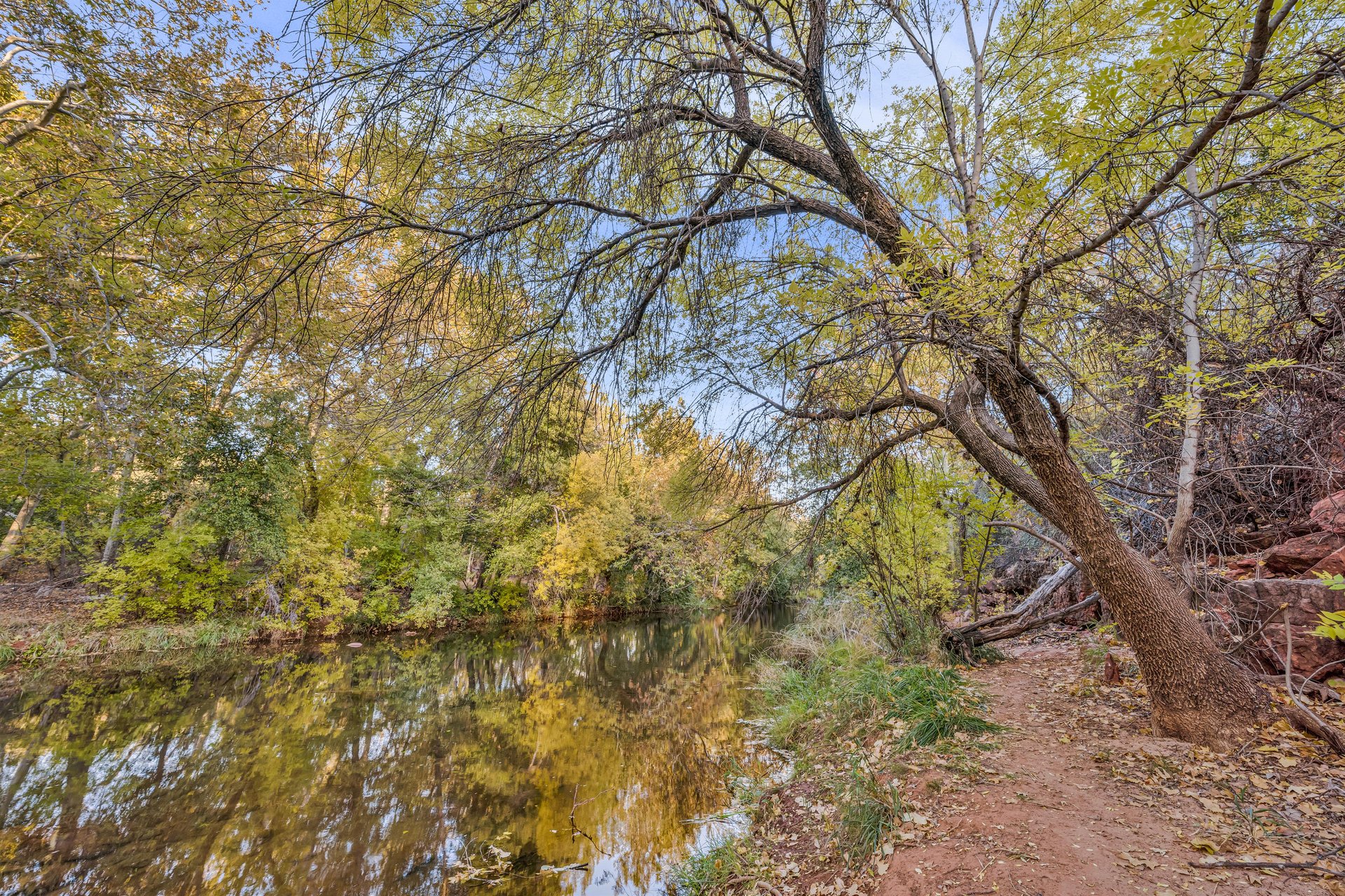 Gorgeous Oak Creek