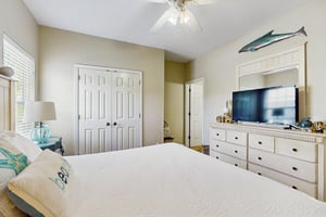 6406420.jpg