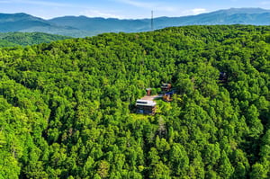 Nestled in lush forest with mountain vistas, the property offers a serene escape surrounded by natures beauty.