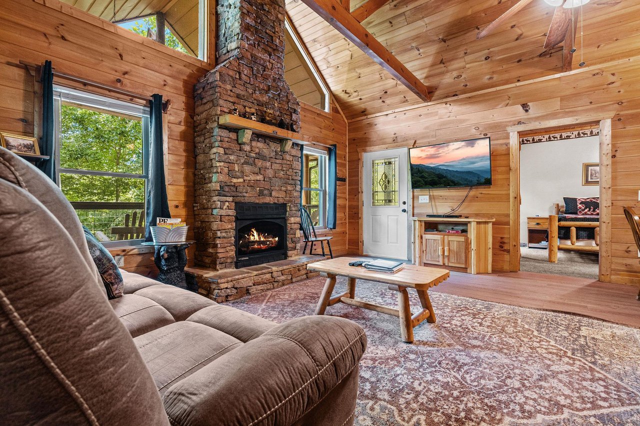 Living Room Fireplace Area