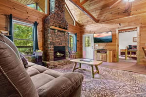 Living Room Fireplace Area