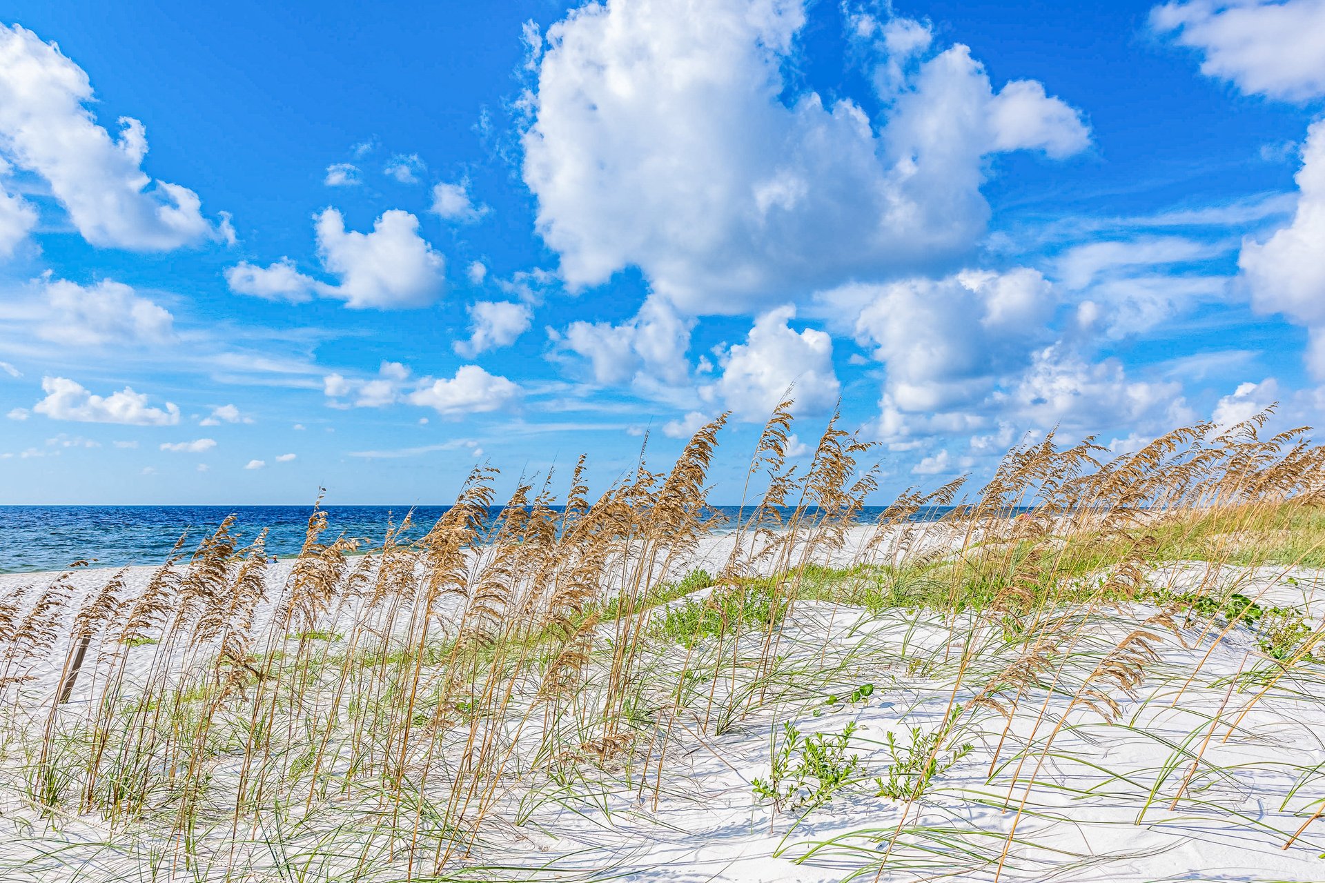 Pensacola Hideaway 41