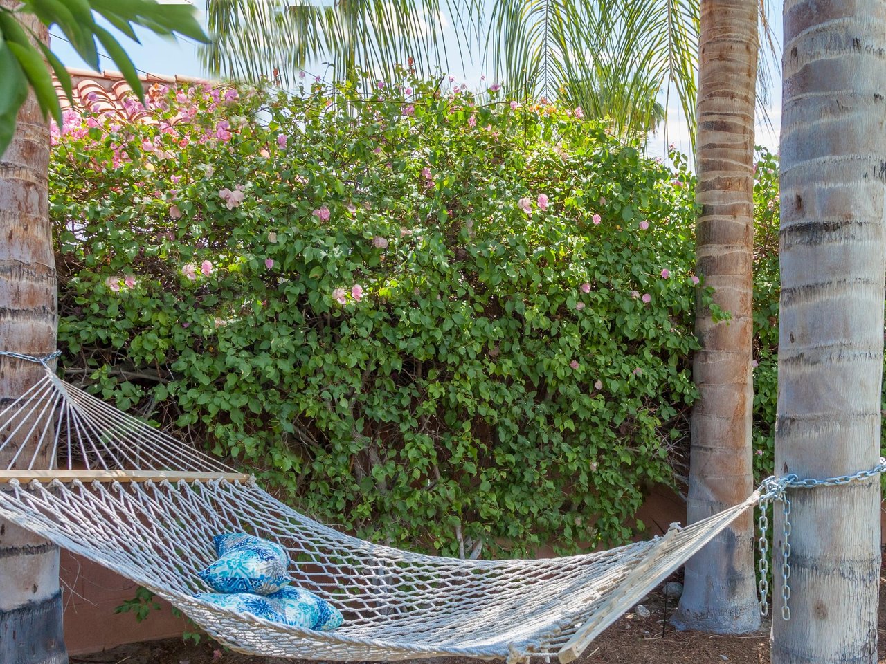 Chill out in the hammock