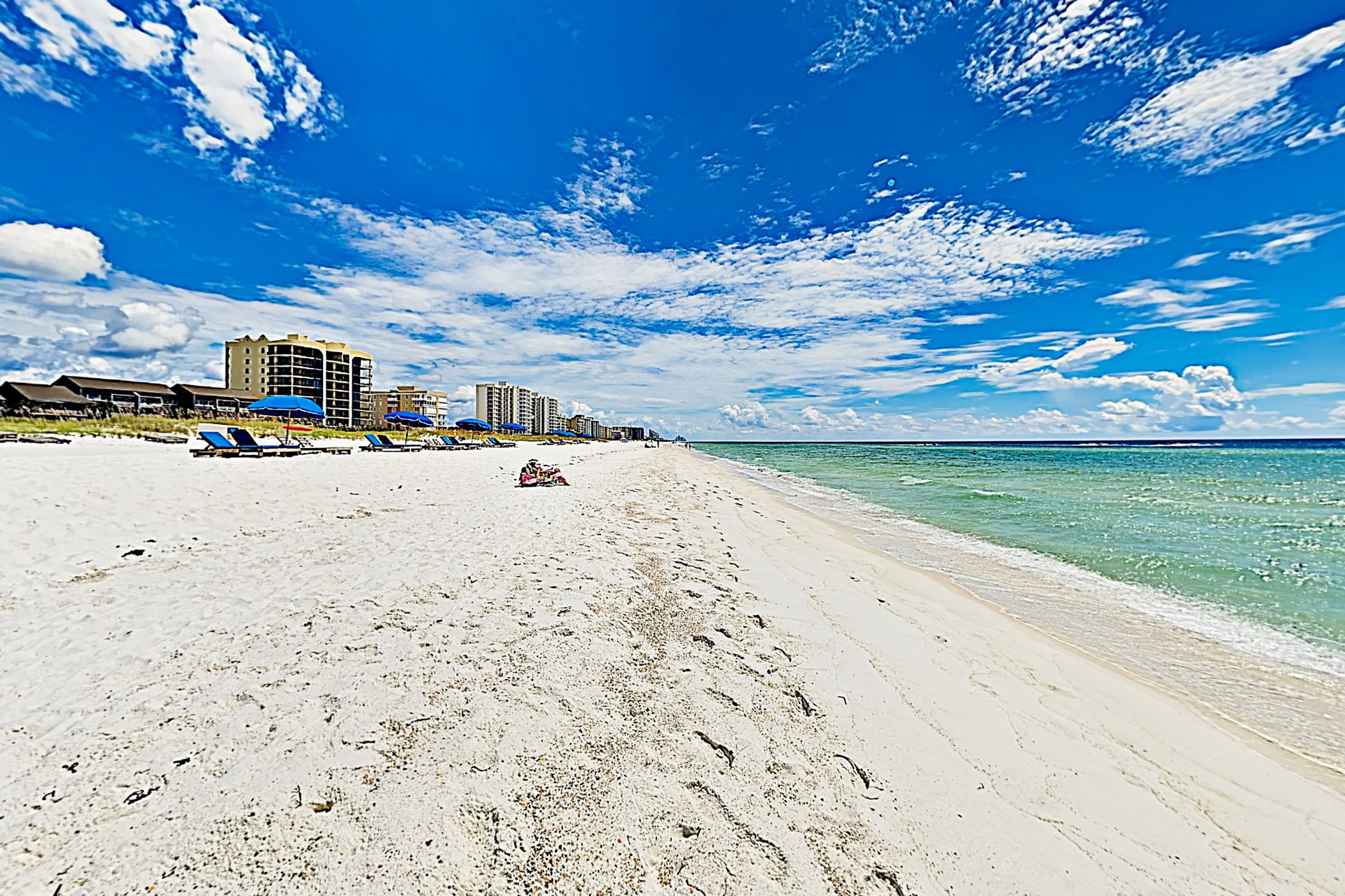 Needle Rush Point A23 21