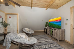 Saucer chairs facing tv