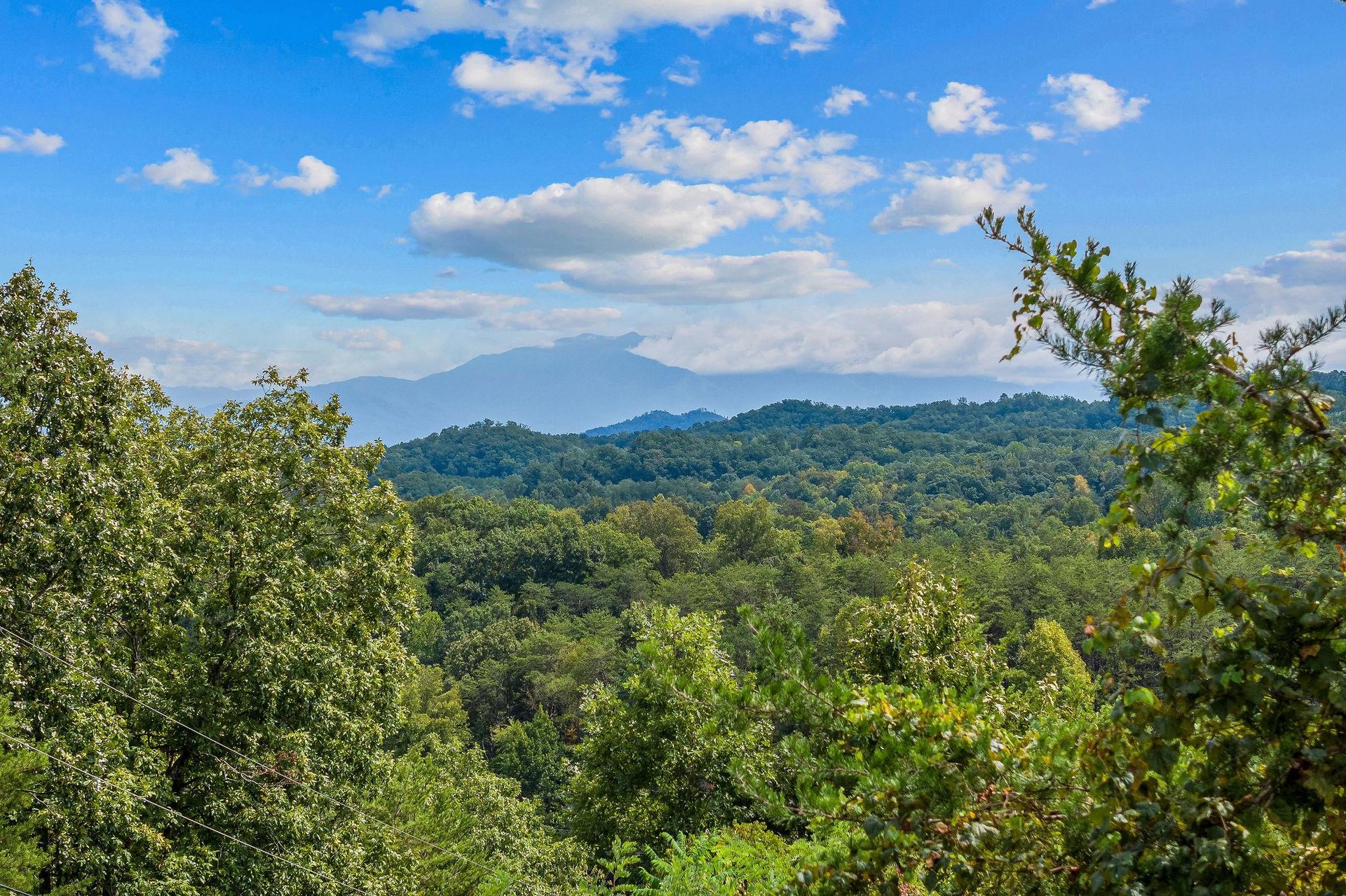 View from Two Dancing Bear Cubs cabin