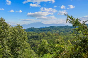View from Two Dancing Bear Cubs cabin