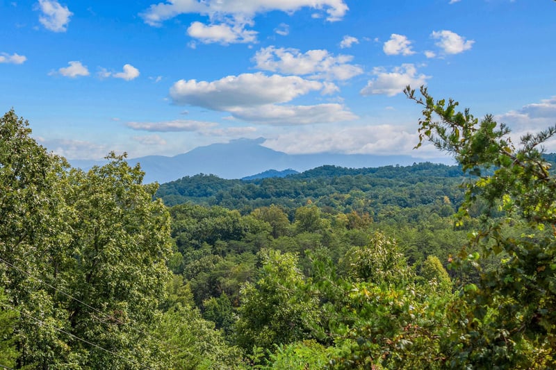 View from Two Dancing Bear Cubs cabin