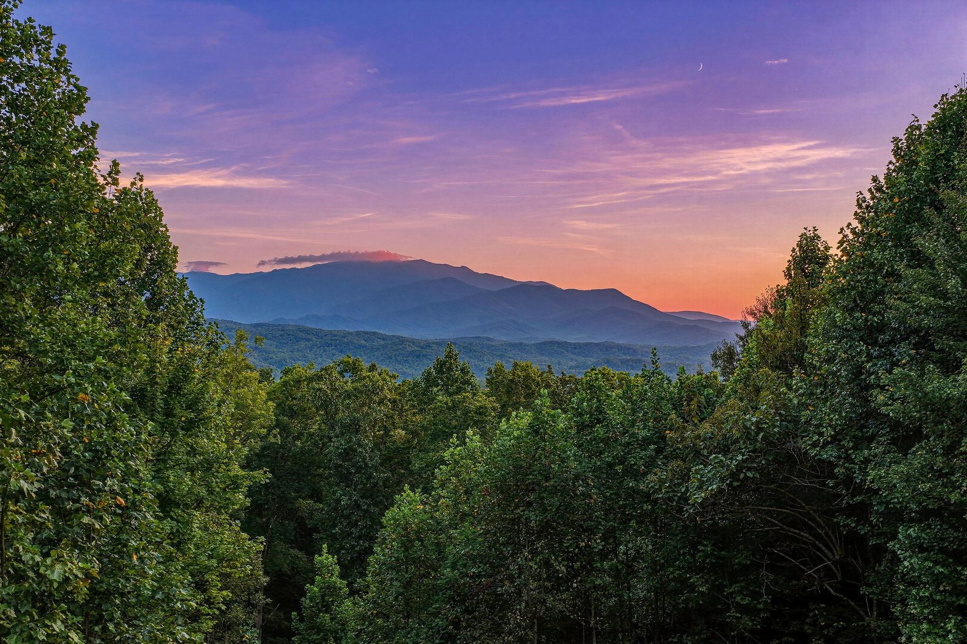 A stunning mountain sunset paints the sky in soft pink and purple hues above a forested valley, framed by lush greenery and a delicate crescent moon.