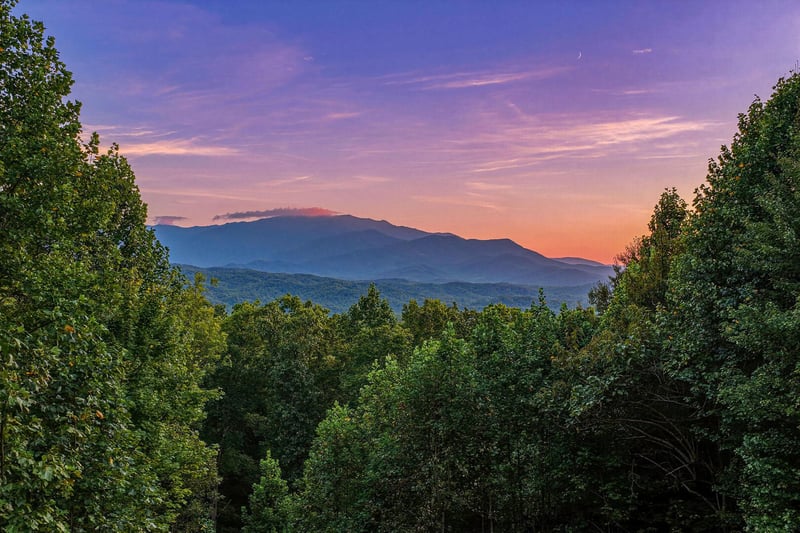 A stunning mountain sunset paints the sky in soft pink and purple hues above a forested valley, framed by lush greenery and a delicate crescent moon.