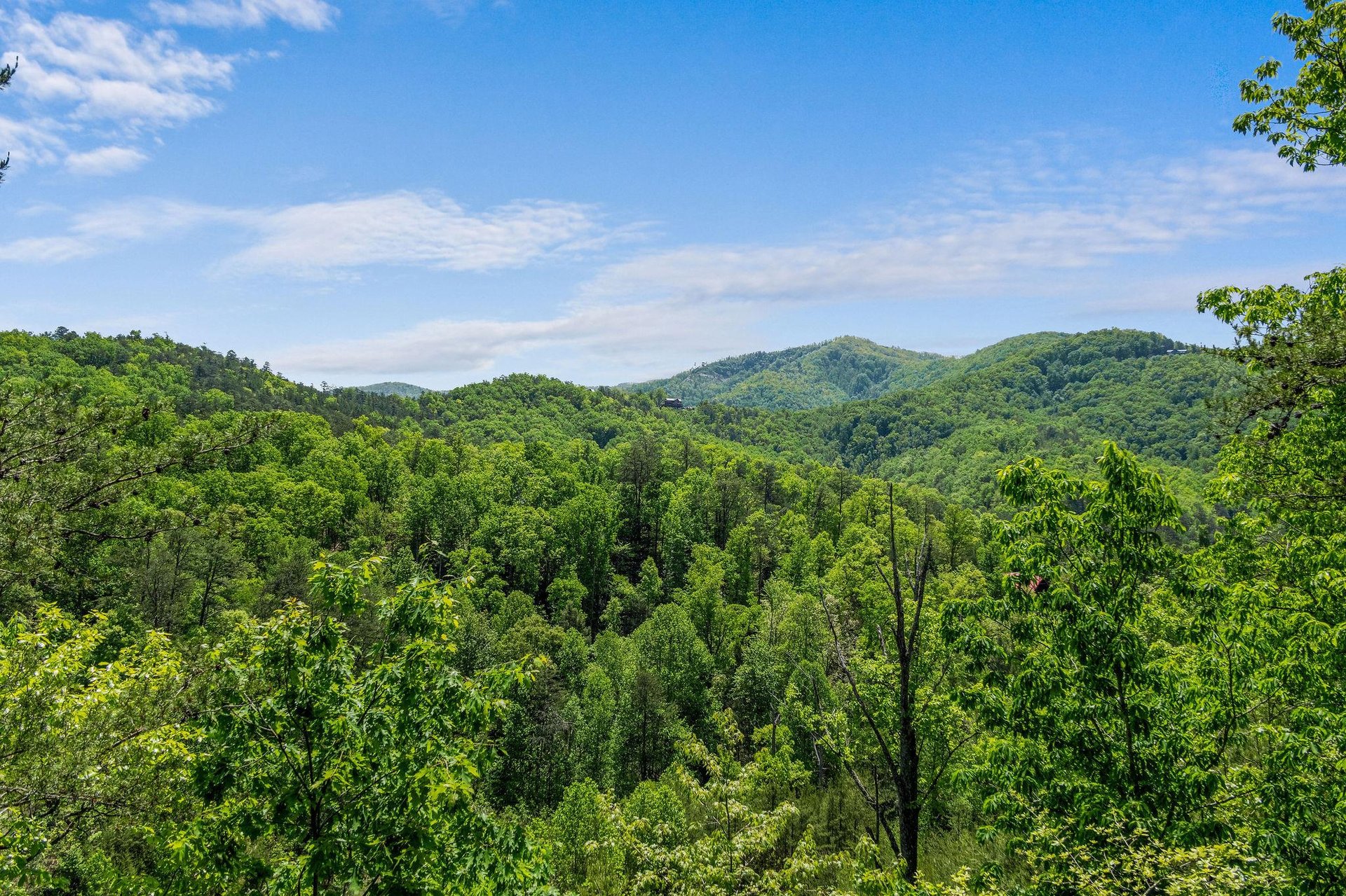 moonbeamandcabindreams7