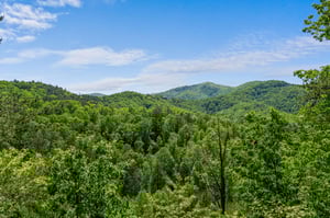 moonbeamandcabindreams7