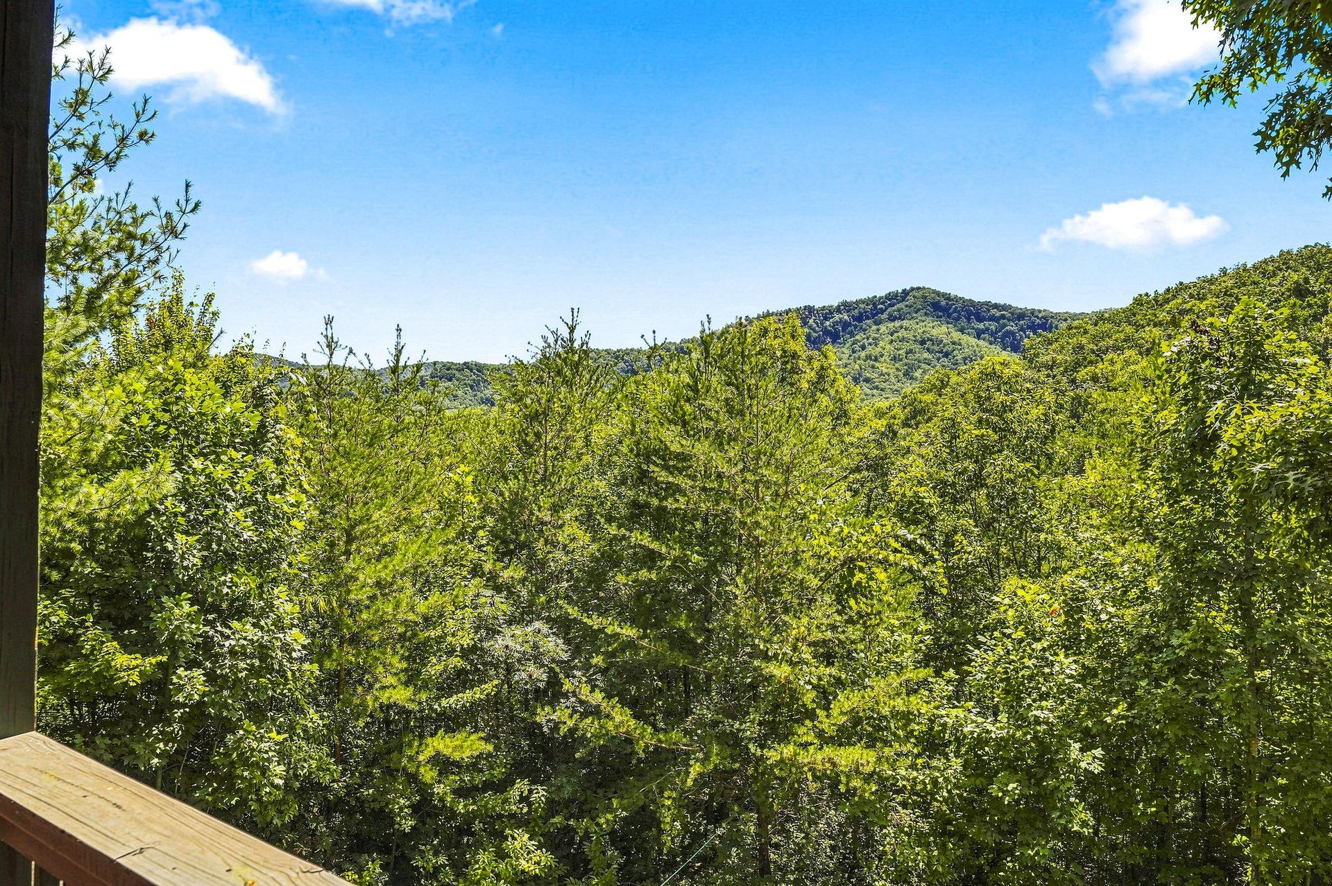 Lush mountain scenery framed by dense green forest under clear blue skies, offering a peaceful natural escape.