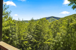 Lush mountain scenery framed by dense green forest under clear blue skies, offering a peaceful natural escape.