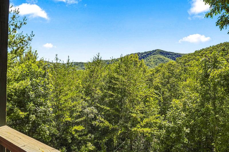 Lush mountain scenery framed by dense green forest under clear blue skies, offering a peaceful natural escape.