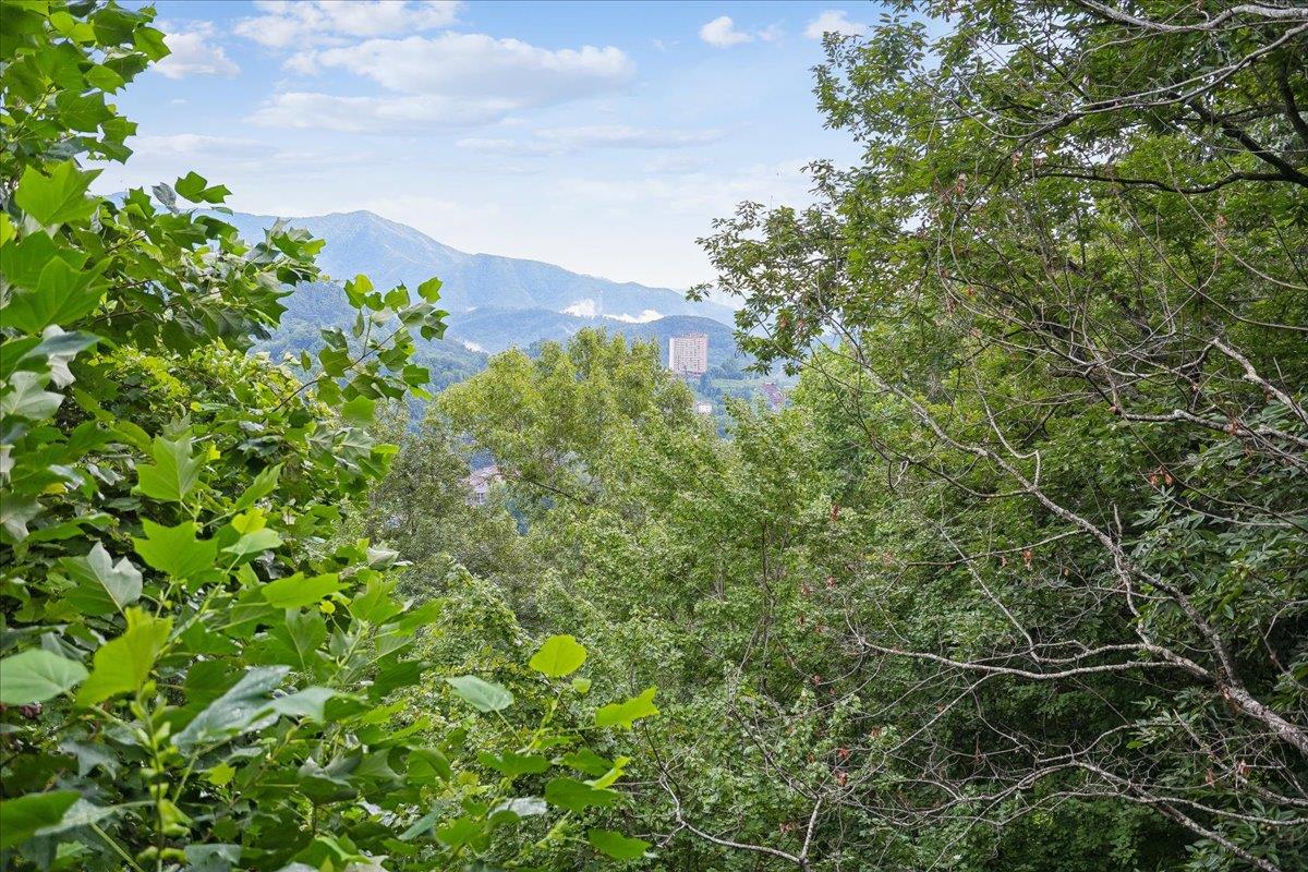 067View
