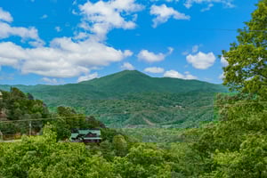 Aerial Property View