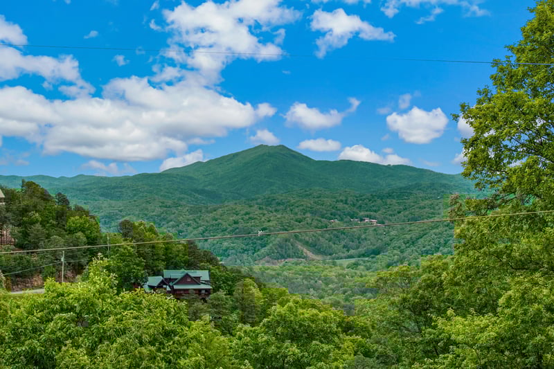 Aerial Property View