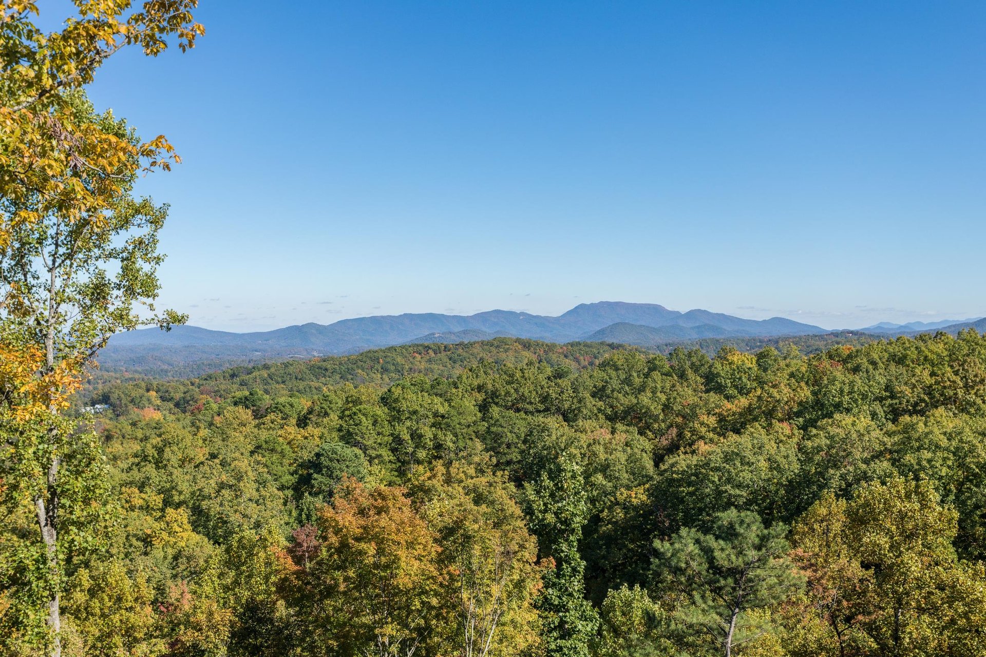 View from Panorama cabin