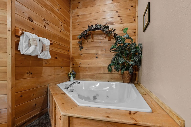 Jacuzzi Tub