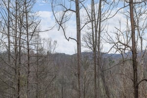 at happy bears hideaway a 2 bedroom cabin rental located in gatlinburg