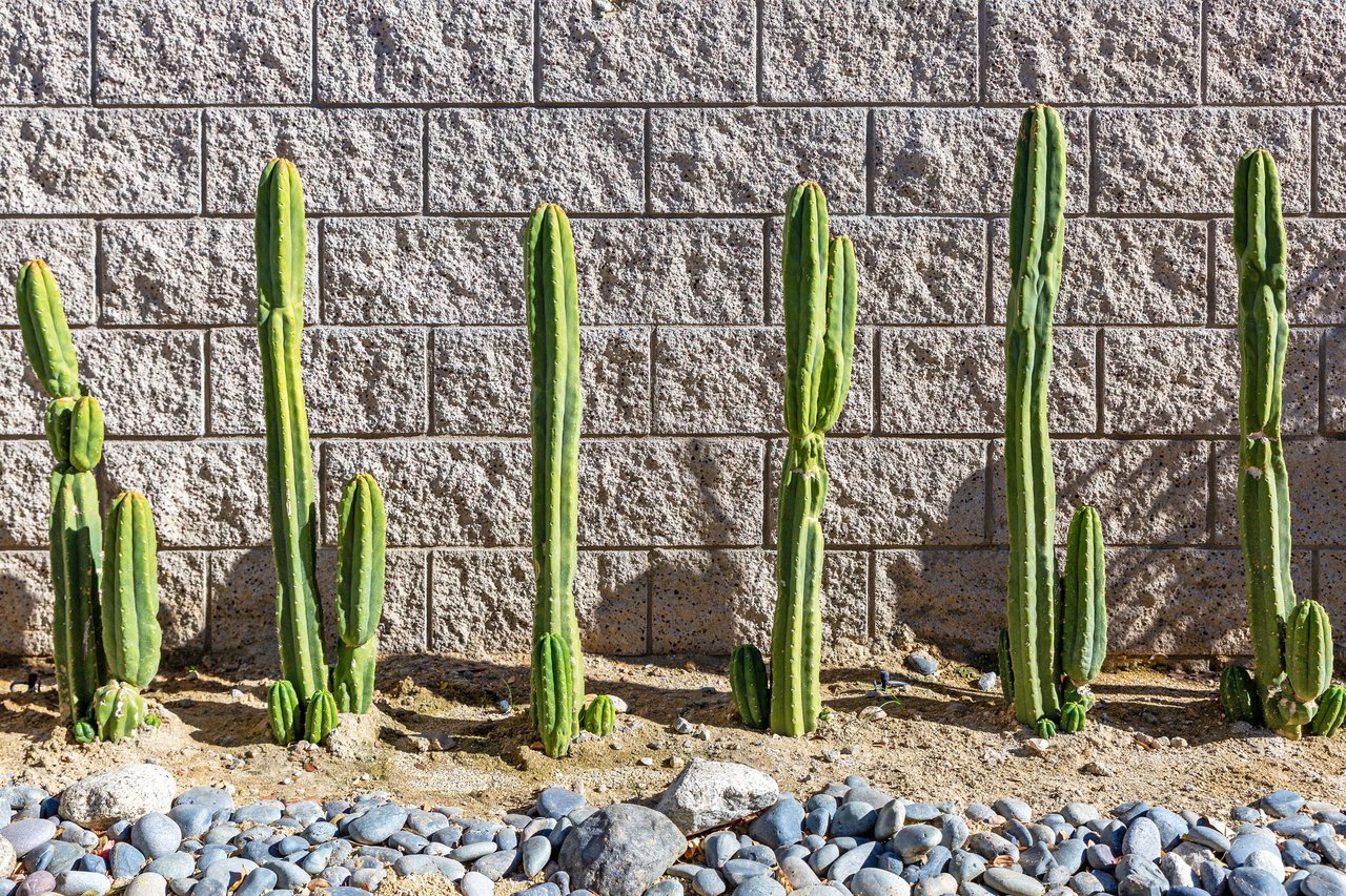 Palm Springs