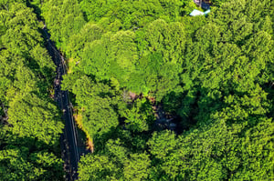 Aerial view of the property nestled in lush forest surroundings with a quiet access road winding through the canopy and vibrant green trees.