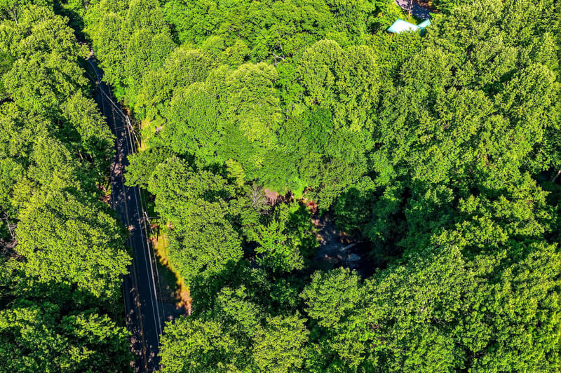 Aerial view of the property nestled in lush forest surroundings with a quiet access road winding through the canopy and vibrant green trees.